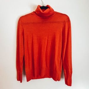 100% Merino Wool Turtleneck Sweater (GAP)
